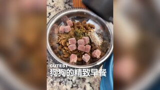 狗每天的早餐就要比我丰盛不少了！