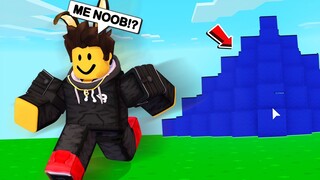 UNDERCOVER NOOB!! in Roblox BedWars