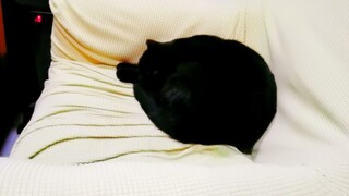 Siapa yang berani duduk di sofa ini? Rumahku punya pembuat lubang hitam...