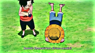 malah mati depan mata luffy🥀