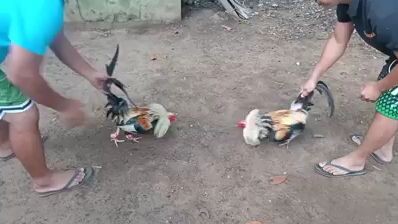 sparing