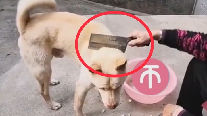 A word for those who take freebies