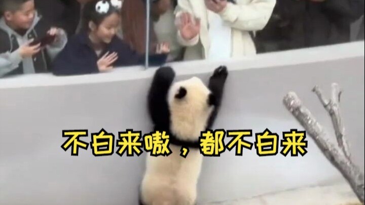 ما جيت عالمرّة بلا فايدة، ما حد جابو عالمرّة بلا فايدة!