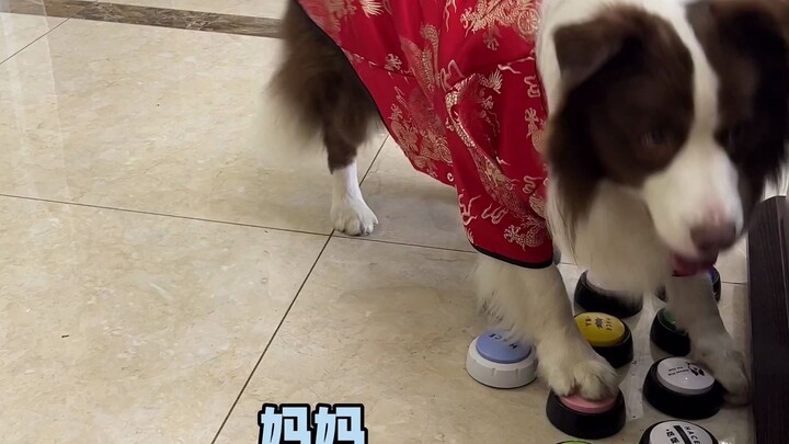 กระดุมไม่ได้ติด ดูแล้วช่างดูลุกลี้ลุกลน