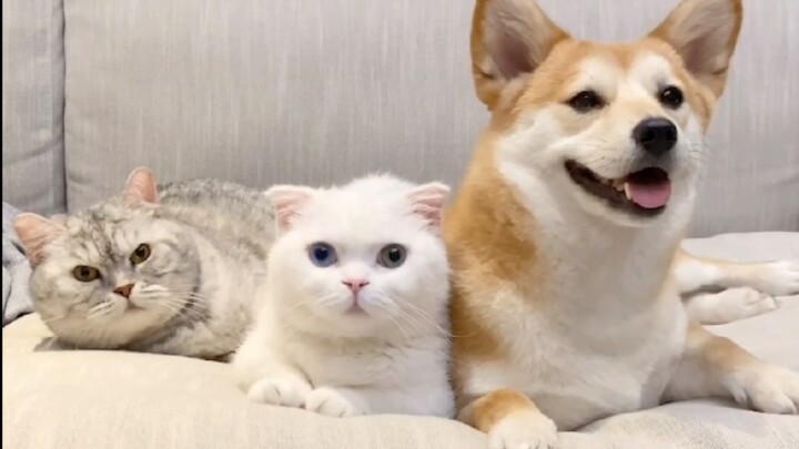 Saya dengar 90% orang salah menebak jenis kelaminnya?