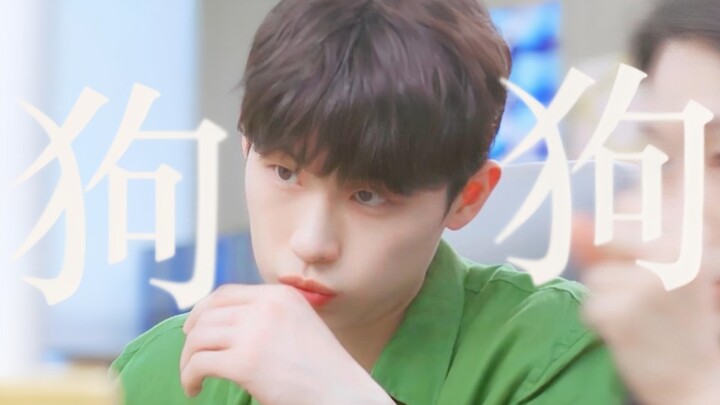 So crazy! Recreating the “dog attack” move! Whenever I see someone I like, I just wanna pounce!