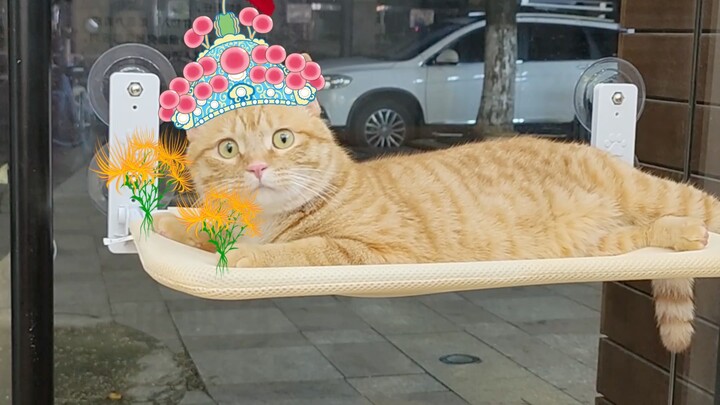 A lot of people are calling “Loving Work” a bandit. We’ve already made plans: next, we’ll teach him 