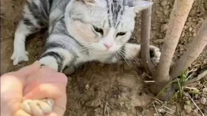 صورة مضحكة: الصبي الذي يعجبني اختطفته امرأة أخرى!