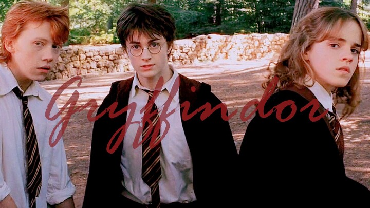【HP】Fearless Gryffindor