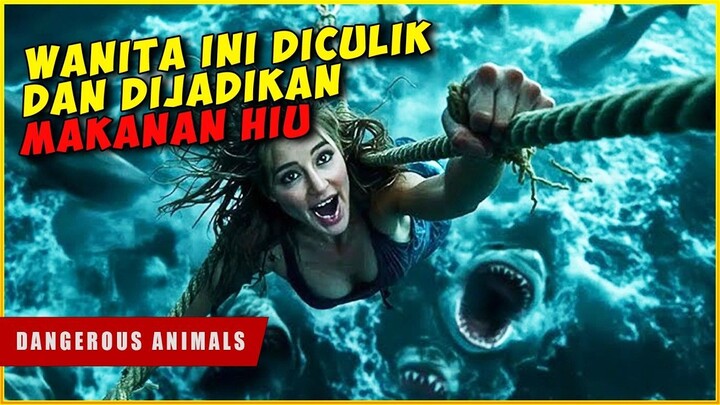 Pembunuh Berantai Yang Menjadikan Manusia Sebagai Makanan HIU  DANGEROUS ANIMALS