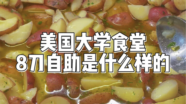 What’s an $8 All-You-Can-Eat Buffet Like at a U.S. University Cafeteria? | That Thing Isn’t an Apple