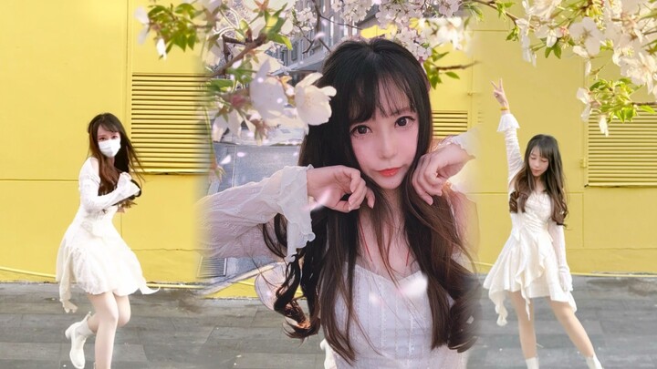 I turned around while watching the cherry blossoms and then I turned the other way...