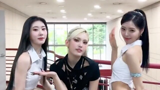 油菜花&somi 《Fast Forward》+《CAKE》舞蹈挑战！