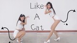 【小伊妍】不性感白猫在线挠人 AOA-猫步轻俏