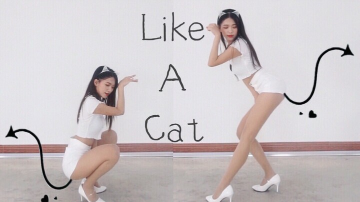 [Xiao Yiyan] Kucing putih yang tidak seksi menggelitik orang secara online AOA-Cat Step Qingqiao