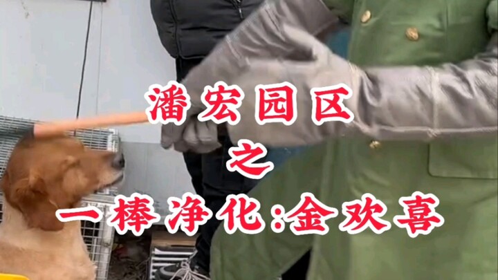 Pan Hong Park Zone: First-Rate Purification — Jin Huanxi