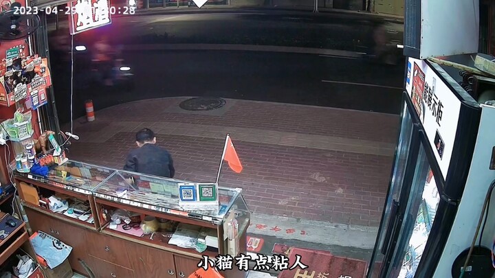 قطّة تدخل المحل فجأة — اللقاء لحظة قدر، لقطة موثقة بكاميرات المراقبة!