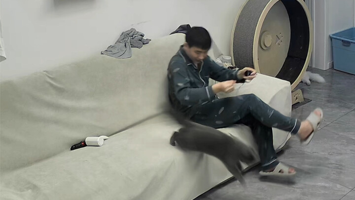 At first, Shandian wanted to come cuddle with me, but as soon as the fish oil came out, he suddenly 