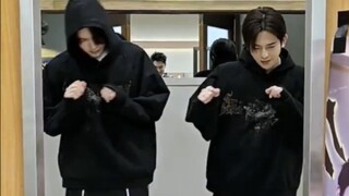 披哥互动，去猪版