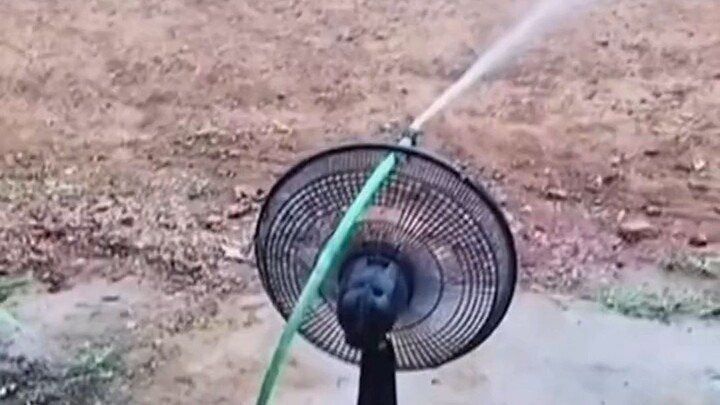 Xui rồi, kiến thức hữu ích tăng lên rồi!