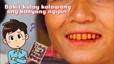 Part 1 | Diary Ng Tropang Probinsyano | Tenrou21