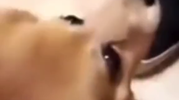 18 ثانية تمنحك الراحة