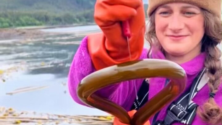 Tại sao công nhân phải cắt ống rong biển thành từng đoạn nhỏ?