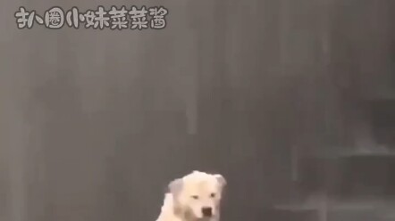 “Ketika Sahabat Jadi Guru, Anak yang Dipanggil: Kamu Nggak P apa?” – Kocak!