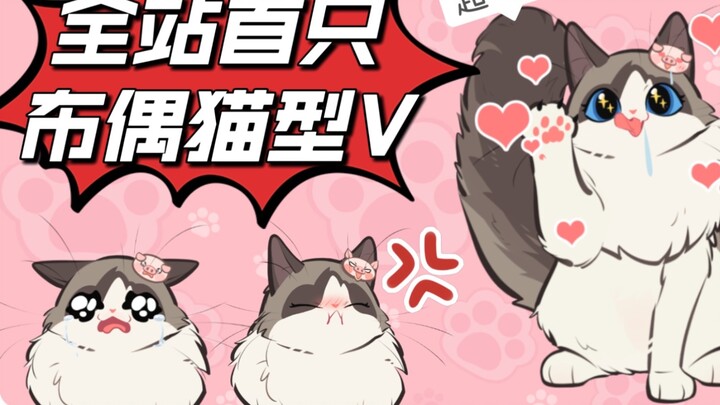 [Live2D model display] You may have never seen such a lively kitten!