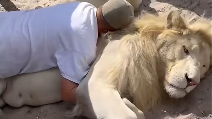 Tidur sambil memeluk kucing, penuh rasa aman