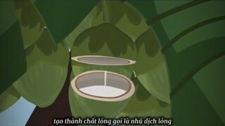 Review Quá Trình Hình Thành ...