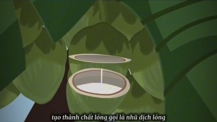 Review Quá Trình Hình Thành ...