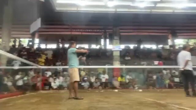 Ravena gamefarm Hennie line