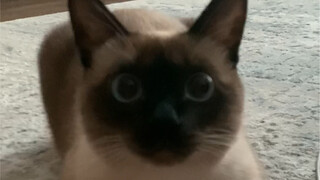 Every time I pass by and see her without hands, it's so pitiful.