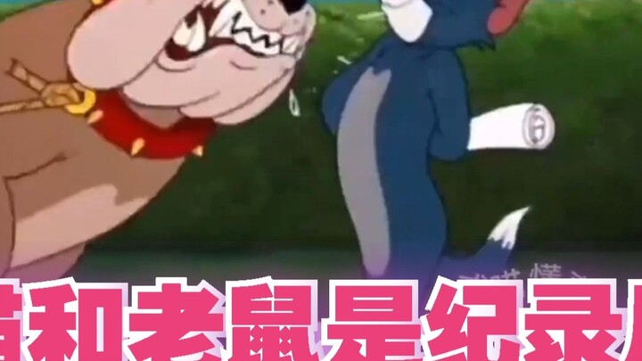 【Mingtang Baiyin】Japanese girl's reaction to watching "Tom and Jerry is a real documentary"