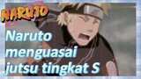 Naruto menguasai jutsu tingkat S