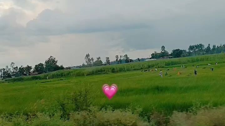 view ❣️