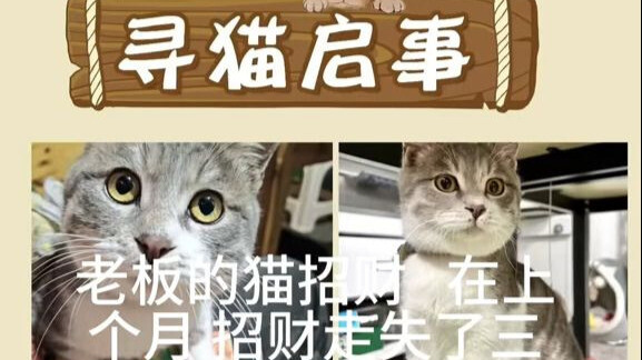 "A Cat-Searching Announcement: Four Task Resets"