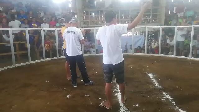 1st win ng black Gilmore ko. bicol arena. fastest kill pa. opening sa lagonoy cockpit bicol