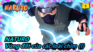 NATURO|[Kakashi]Vùng đất của các loài chim(I) Chấp nhận trọng trách loại bỏ linh hồn_1