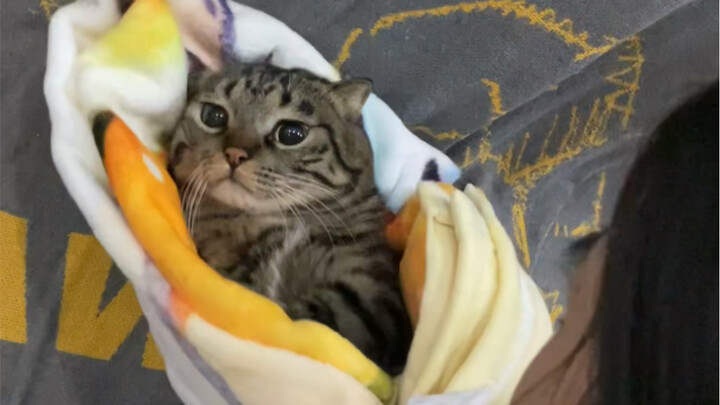 "ม้วนเล็กในผ้าห่อตัว"