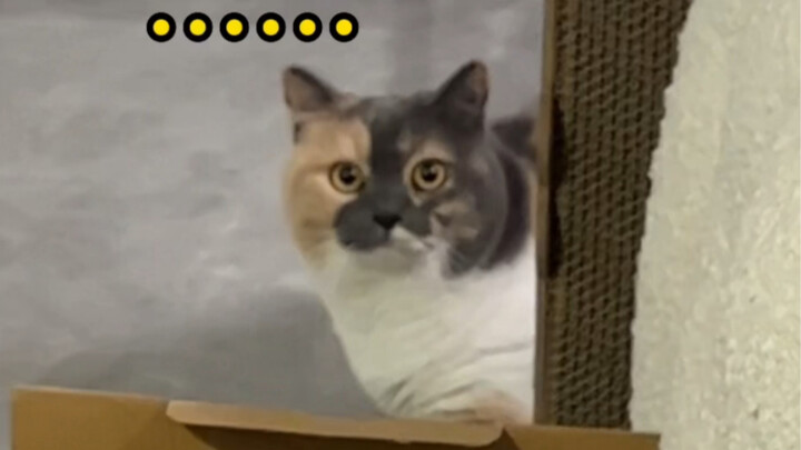 Hanya ingin terlihat imut di depanmu