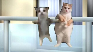 【Cat meme】My brave mother helped me escape from a toxic marriage.