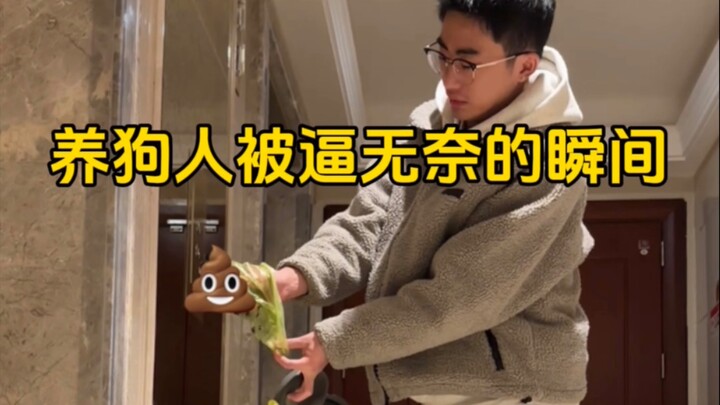 لحظات اليأس التي يمر بها مربو الكلاب