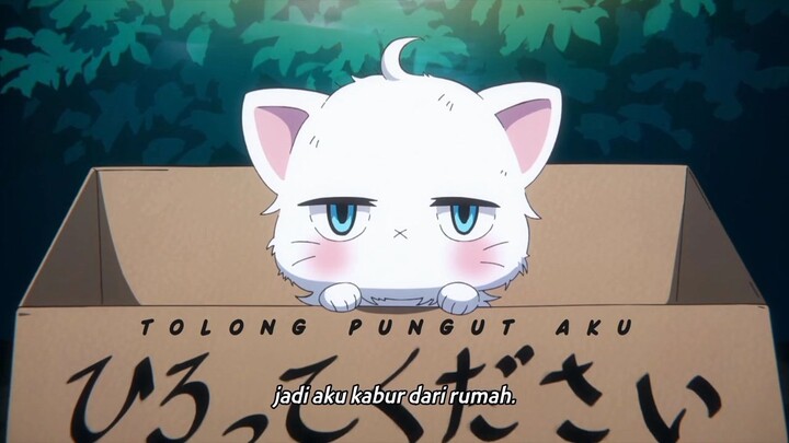 Episode 3 - Atarashi Joushi Wa do Tennen / My New Boss Is Gofy Subtitle Indonesia