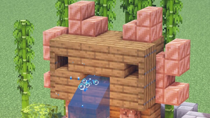 Trông có vẻ không được thông minh lắm