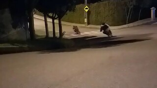 🚲🚲🚲💨💨💨