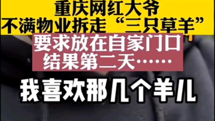 นี่ถือเป็นชัยชนะครั้งสำคัญครั้งแรกของลัทธินิยมศักดินา ลุงคนนั้นพิสูจน์แล้วว่าพลังของ “แกะหญ้าสามตัว”