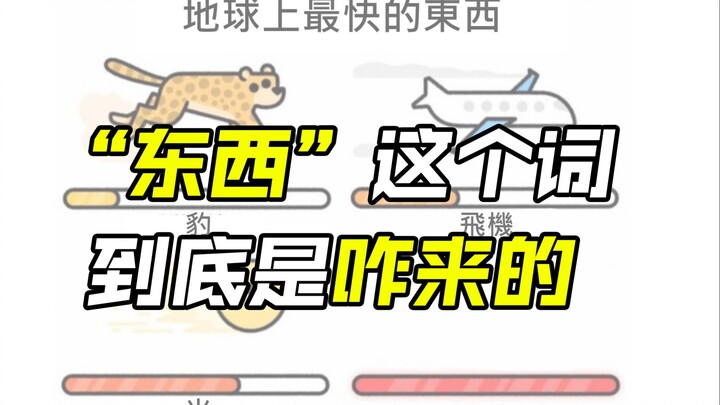 Từ “đồ đạc” này xuất phát từ đâu vậy?