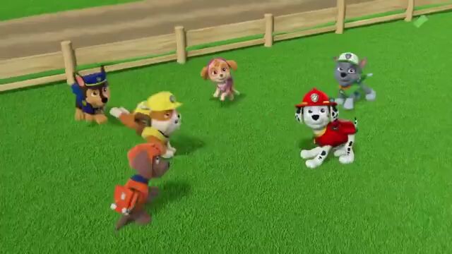 Paw patrol Musim 9 Episode 8 Bahasa Indonesia